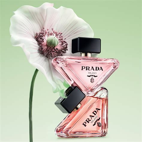 yodeyma prada paradoxe